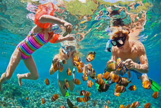 Underwater Reef Snorkeling